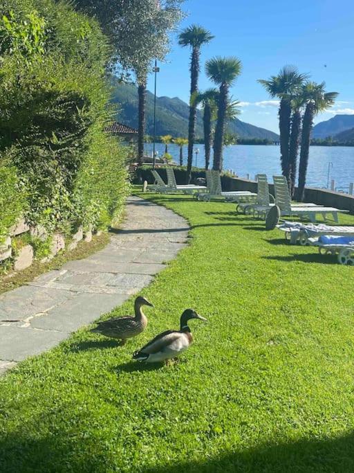 Holiday On The Lake Lugano 2-16 Bissone Eksteriør bilde